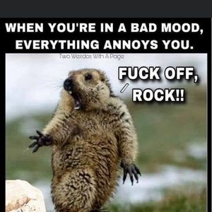 Meet your Posher, Julianne